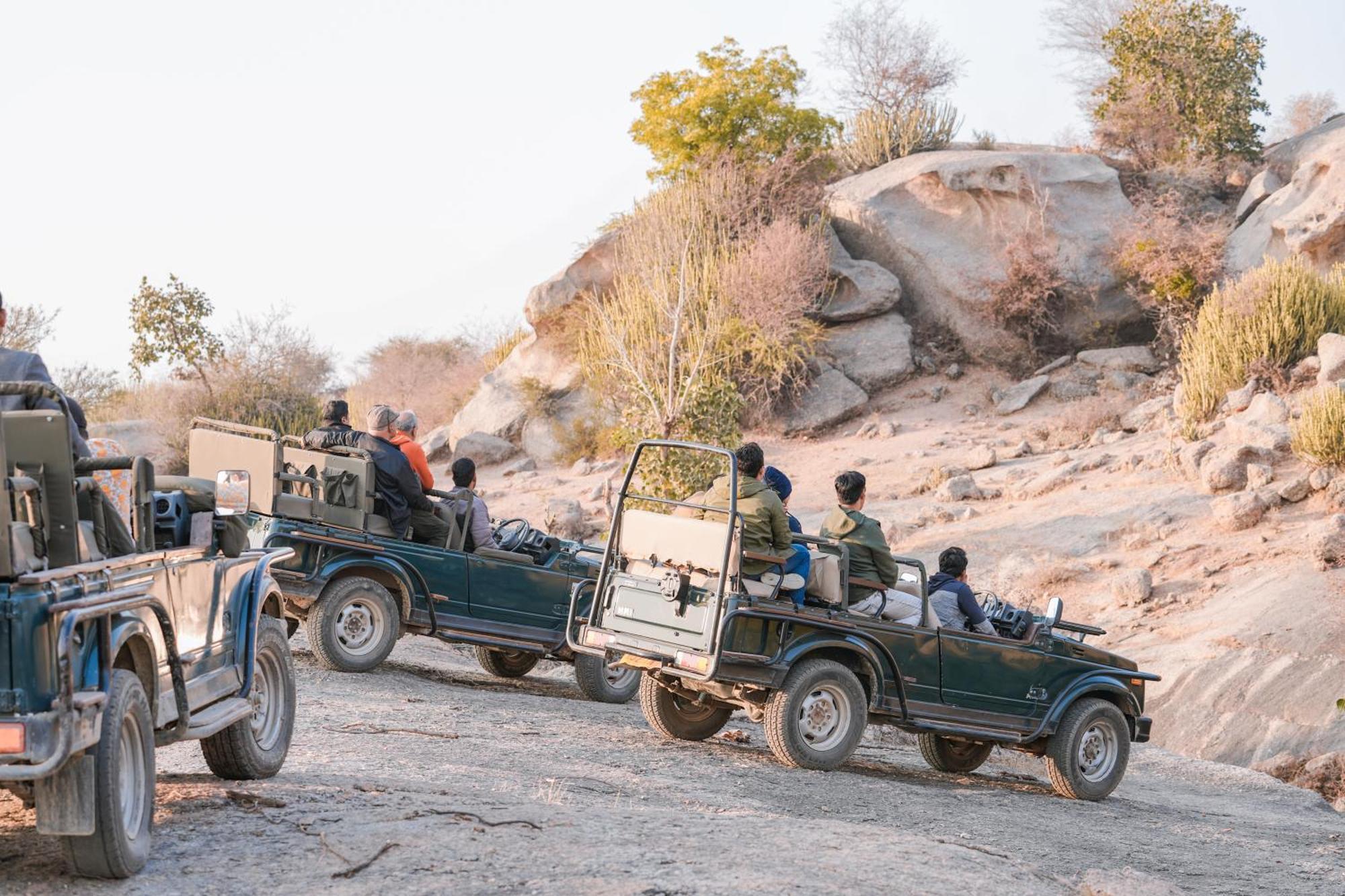 Bed and Breakfast Jawai Wildlife Safari Camp Nana Zewnętrze zdjęcie